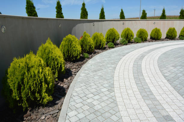 Best Interlocking Driveway Pavers  in Santa Cruz, CA